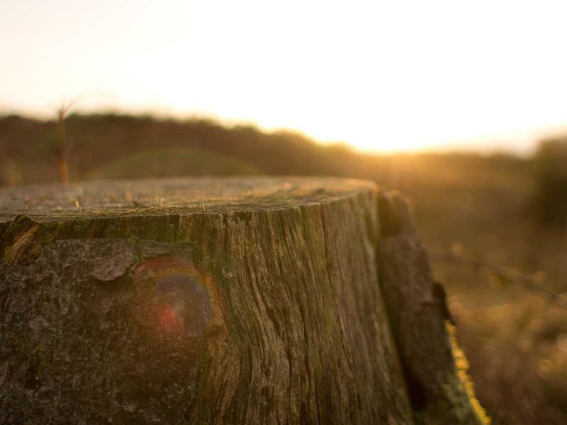 我是传奇<br>mcbhuqd.cn 纽约僵尸围城